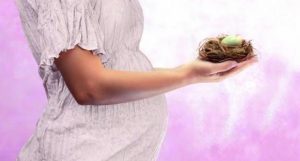 charla gratuita feng shui para embarazadas prepara tu nido cursos y estudios del hogar